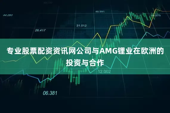 专业股票配资资讯网公司与AMG锂业在欧洲的投资与合作