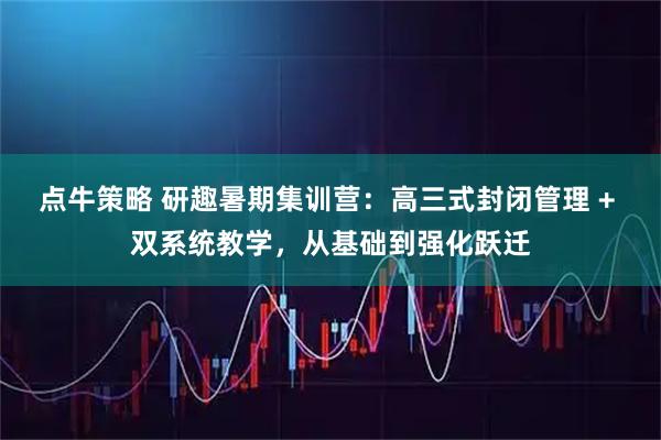 点牛策略 研趣暑期集训营：高三式封闭管理 + 双系统教学，从基础到强化跃迁