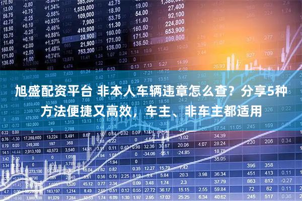 旭盛配资平台 非本人车辆违章怎么查？分享5种方法便捷又高效，车主、非车主都适用