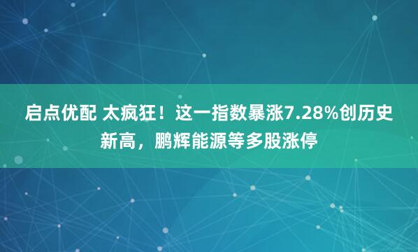 启点优配 太疯狂！这一指数暴涨7.28%创历史新高，鹏辉能源等多股涨停